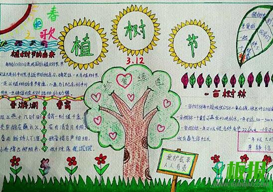 植树节手抄报
