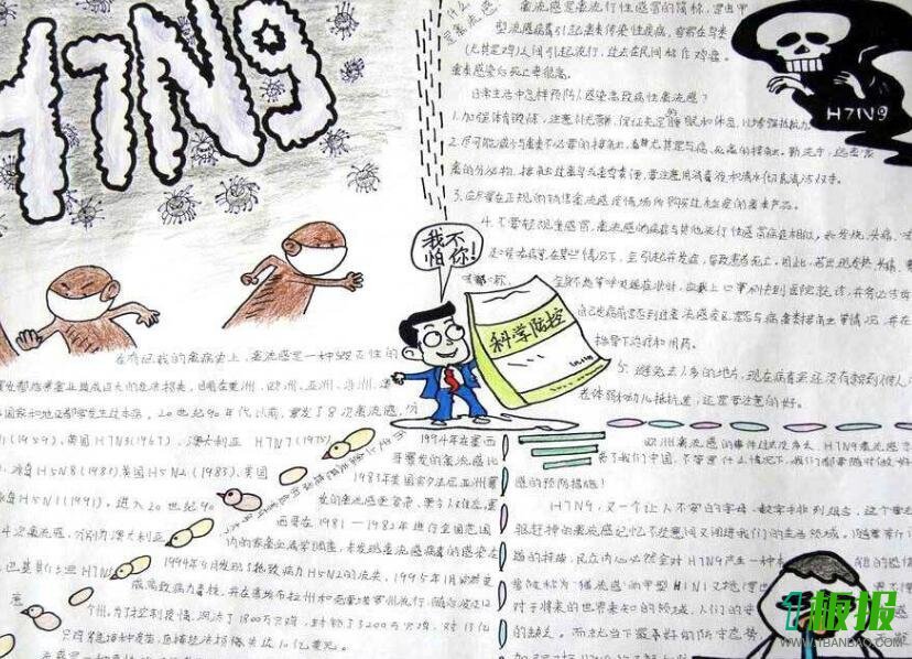 预防禽流感手抄报