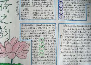 关于花的手抄报