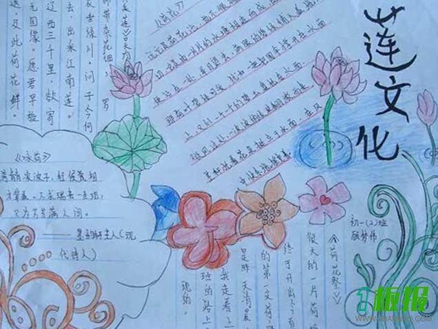 关于花的手抄报
