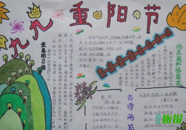 小学生重阳节手抄报