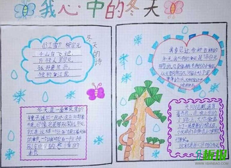 冬天的手抄报